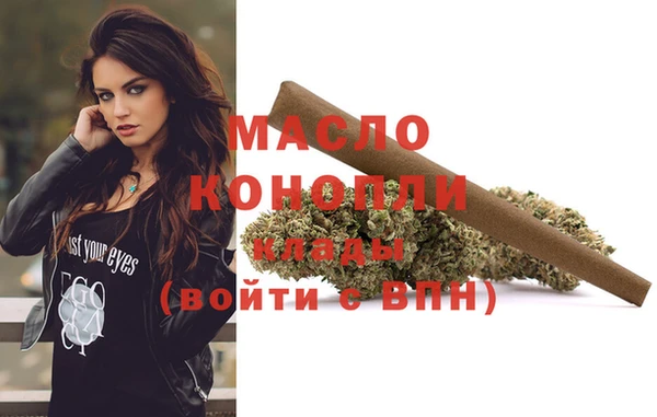 спиды Горняк