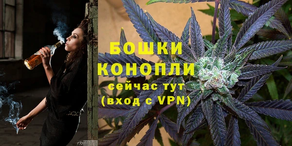 спиды Горняк
