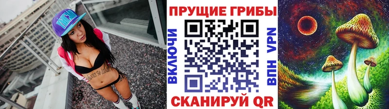 нарко площадка состав Гусев Псилоцибиновые грибы Psilocybine cubensis